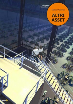 ALTRI ASSET